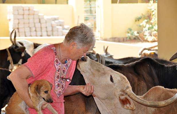 Karuna Society for Animals and Nature – Working together to end the  suffering of animals